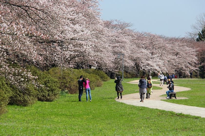 🏞️ 이와테 현립 농업 교류 공원・농업 과학 박물관(이와테켄리쓰 노교 후레아이 코엔・노교 카가쿠 하쿠부쓰칸) 이미지 7